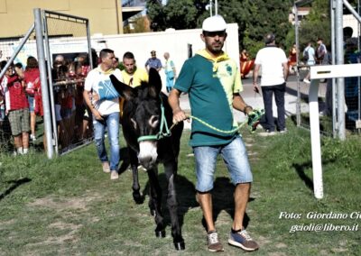 Palio dei Ciuchi Asciano