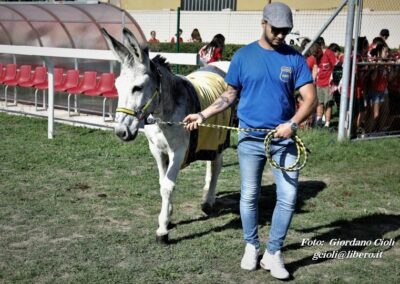 Palio dei Ciuchi Asciano