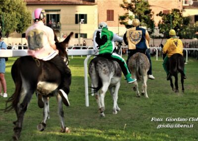 Palio dei Ciuchi Asciano