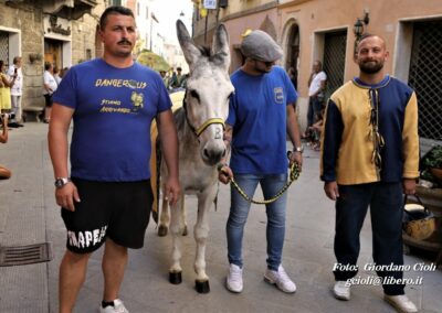 Palio dei Ciuchi Asciano