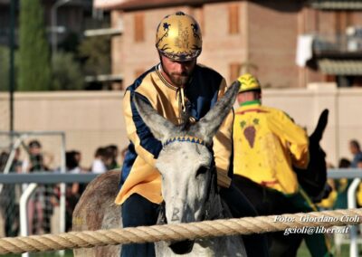 Palio dei Ciuchi Asciano