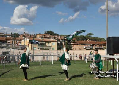 Palio dei Ciuchi Asciano