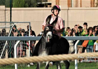 Palio dei Ciuchi Asciano