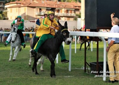 Palio dei Ciuchi Asciano