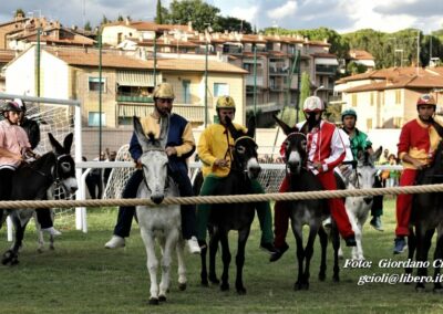 Palio dei Ciuchi Asciano