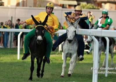 Palio dei Ciuchi Asciano