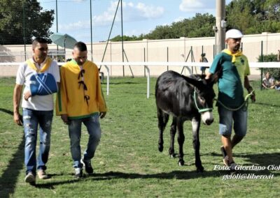 Palio dei Ciuchi Asciano