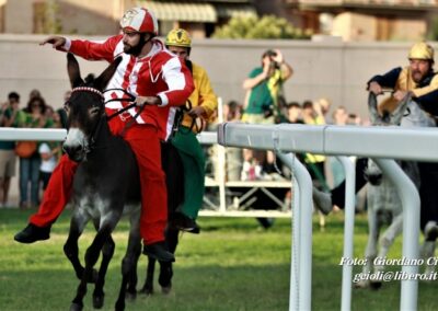 Palio dei Ciuchi Asciano