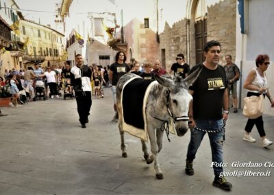 Palio dei Ciuchi Asciano