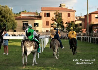 Palio dei Ciuchi Asciano