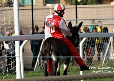 Palio dei Ciuchi Asciano