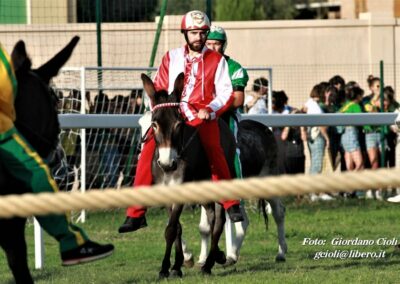 Palio dei Ciuchi Asciano