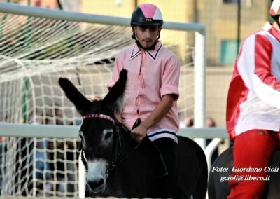 Palio dei Ciuchi Asciano