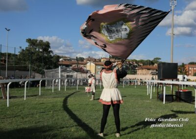 Palio dei Ciuchi Asciano