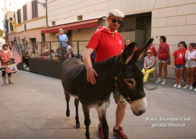 Palio dei Ciuchi Asciano