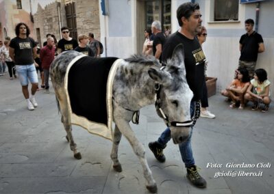 Palio dei Ciuchi Asciano