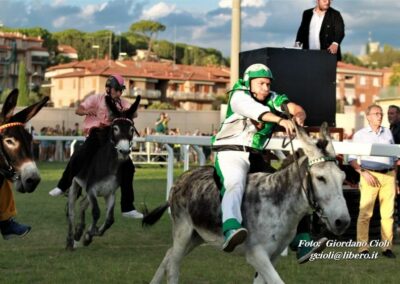 Palio dei Ciuchi Asciano