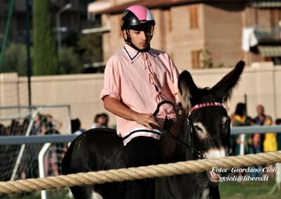 Palio dei Ciuchi Asciano