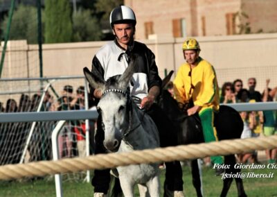 Palio dei Ciuchi Asciano