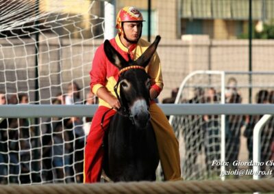 Palio dei Ciuchi Asciano