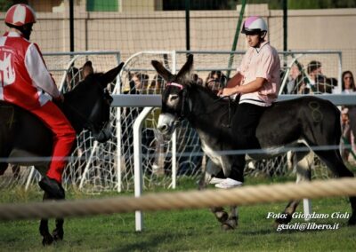 Palio dei Ciuchi Asciano