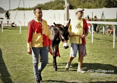 Palio dei Ciuchi Asciano