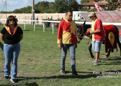 Palio dei Ciuchi Asciano