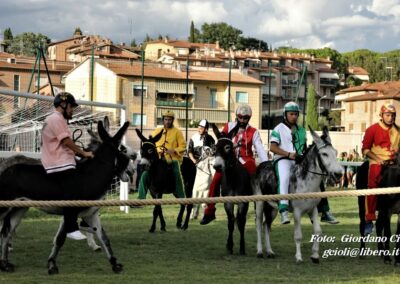 Palio dei Ciuchi Asciano