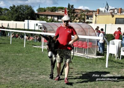 Palio dei Ciuchi Asciano