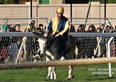 Palio dei Ciuchi Asciano