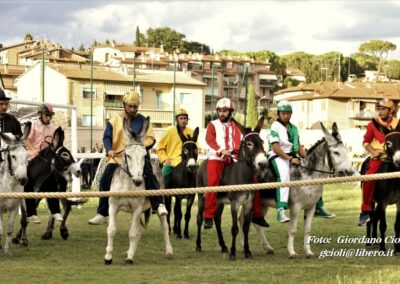 Palio dei Ciuchi Asciano