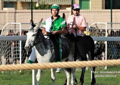 Palio dei Ciuchi Asciano