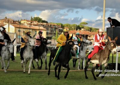 Palio dei Ciuchi Asciano