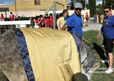 Palio dei Ciuchi Asciano