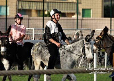 Palio dei Ciuchi Asciano