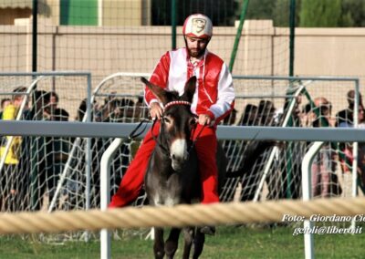 Palio dei Ciuchi Asciano