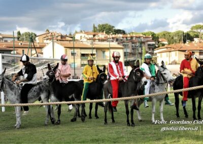 Palio dei Ciuchi Asciano