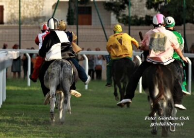 Palio dei Ciuchi Asciano