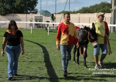 Palio dei Ciuchi Asciano