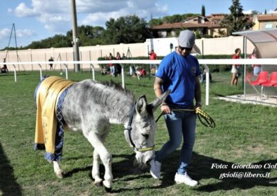 Palio dei Ciuchi Asciano