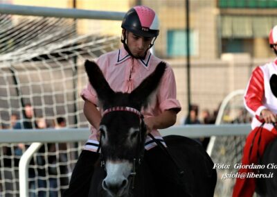 Palio dei Ciuchi Asciano