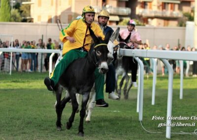 Palio dei Ciuchi Asciano