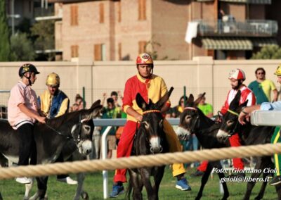 Palio dei Ciuchi Asciano