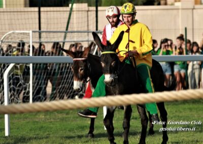 Palio dei Ciuchi Asciano