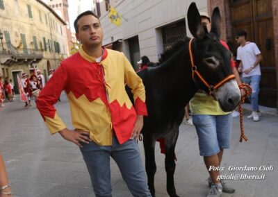 Palio dei Ciuchi Asciano