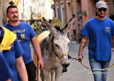 Palio dei Ciuchi Asciano