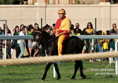 Palio dei Ciuchi Asciano