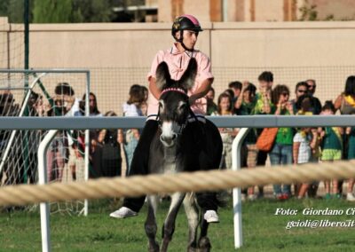 Palio dei Ciuchi Asciano