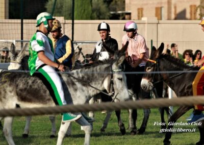 Palio dei Ciuchi Asciano