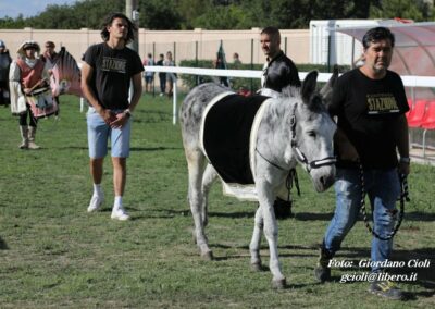 Palio dei Ciuchi Asciano